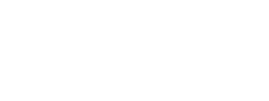 Xtravaganza Flowers